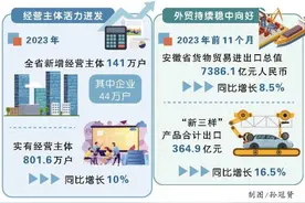 安徽与世界的“双向奔赴”更热络了图片