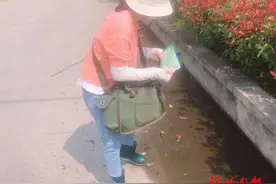 快躲开！千万别碰！福州出现了！图片