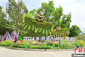 2024粤港澳大湾区花展在深圳启幕图片