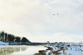 千岛湖光 和谐之境图片
