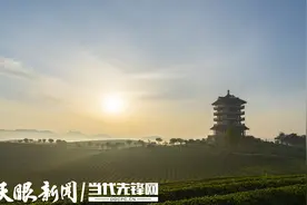 湄潭茶业2023“成绩单”上 这些“硬核”数据图片
