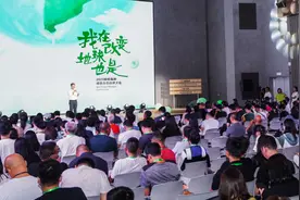 蚂蚁森林7年种下4.75亿棵树，累计协议捐资34.65亿元图片