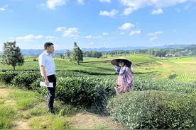 湄潭：专精特新“小巨人” 农信助力“精而强”图片