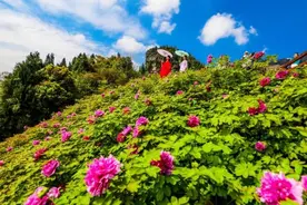 牡丹＋度假＋研学 垫江文旅打出“三张牌”图片