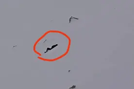 四川雅姆雪山一男子滑坠身亡？目击者：拍到坠落瞬间图片