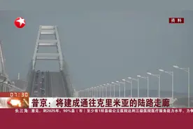 普京：将建成通往克里米亚的陆路走廊视频封面