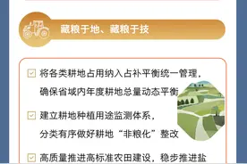 中央一号文件丨如何全方位夯实国家粮食安全根基图片