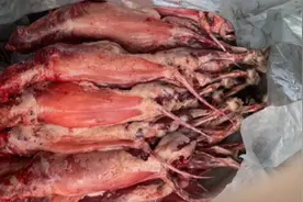 “暗访被禁的狐貉肉冒充牛肉”，河北、山东回应了图片