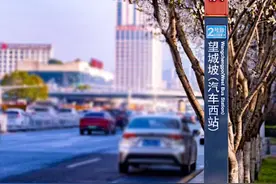 地铁直达！来长沙赏花吧→图片