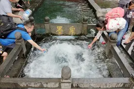 爱上济南的夏天图片