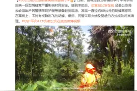 严重影响村民安全，60公分的巨型胡蜂窝被民警捅了！图片