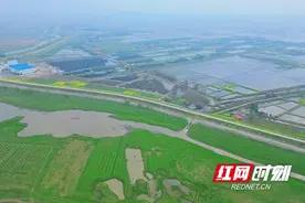 大通湖区北洲子镇：初春漉湖湿地生机绽放图片