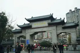 女子私养黔灵山野生猕猴？当事人回应！图片