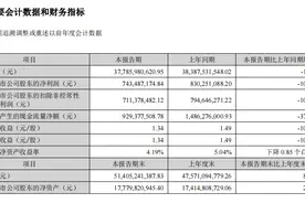 国药一致上半年营收、净利双降，零售板块陷入亏损图片