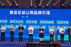“延安苹果”品牌价值92.45亿元 位列全国第三图片