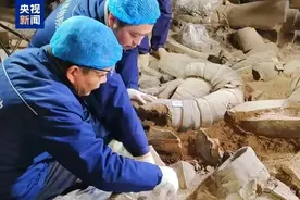 从兵马俑到中国紫研究，上科大用电镜技术揭示千年合成之谜图片