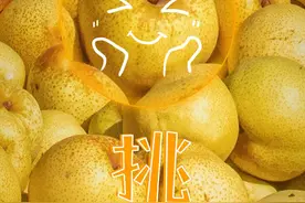 是的，该梨了！图片