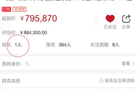 “房姐”李梅在长沙的87套房即将拍卖，目前仅一人报名，中介：问的人多，在等二拍图片