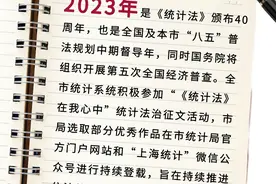 《统计法》在我心中图片