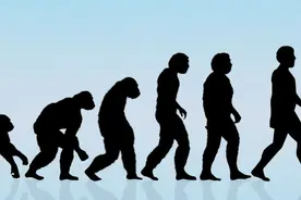 何以为人？数学家探索人类智能起源之谜 | 科技前线图片