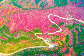 从落后小山村到宜居宜业和美乡村 济南历城芦南村实现村庄“逆袭”图片