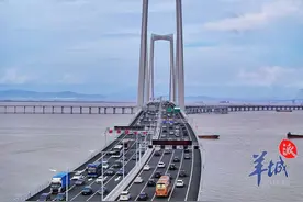 深中通道人气旺！通车24小时车流量已超12.5万车次图片