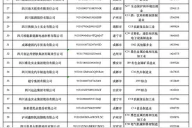 2024年四川民营企业百强榜发布，新希望、通威、川威位列前三图片