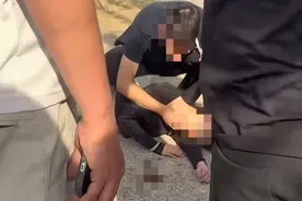 山东菏泽一公园马匹致多人受伤其中一人伤势较重，目击者讲述现场细节！马术俱乐部回应图片