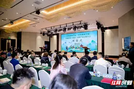 擦亮黄精之乡名片 首届中国（新晃）黄精产业发展大会举行图片