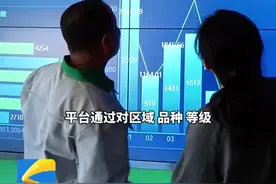 潍坊昌邑：已实现交易金额9.2亿元 智慧生姜产业平台助力大姜产业高质量发展图片