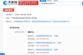 东岭集团及其旗下公司新增一则被执行人信息，执行标的1.04亿图片