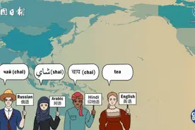 Tea还是Cha？英语中“茶”的发音竟然源自闽南语！图片