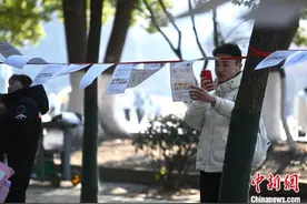 春节将至 合肥城市公园“相亲角”人气满满图片
