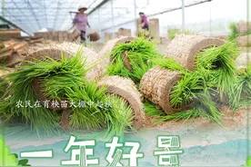 （图表·海报）一年好景在春耕（1）图片