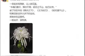 《锦衣之下》作者蓝色狮去世，谭松韵发文悼念图片