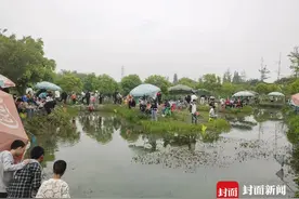 国庆黄金周去哪儿“撒欢”？成都这个“公园”乡村等你来“家”游！丨寻找和美乡村推荐官图片