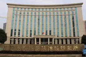 中国农科院油料所创建维生素酯高效制备新方法，刷新现有纪录图片
