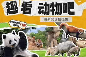 首期互动福利上线！潮新闻联合杭州野生动物世界请你#趣看动物吧#图片
