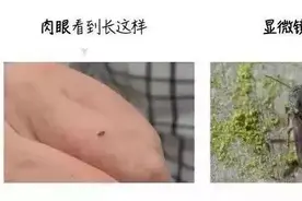 头皮发麻！杭州小伙湖边走了圈，回家傻眼了！太狠了...图片