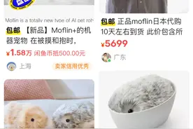 氪金买玩偶当娃“养” 这届年轻人掉进“毛茸茸”的“圈套”｜2024，我为TA买单⑤图片