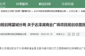 靠近湖南师大附中新校区，运达、润和大泽湖新项目公示图片