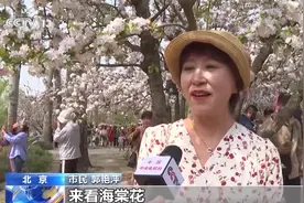 春日新发现 用脚步丈量春天图片
