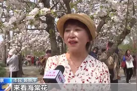 春日新发现 用脚步丈量春天图片