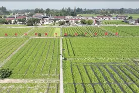 什邡+金牛+彭州=？丨万千气象看四川·什邡②图片