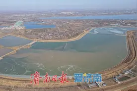 济南鹊山水库沉砂池封冻，大天鹅暂时“隐退”图片