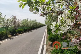 青岛市即墨区段泊岚镇：小家自觉“净” 全村整体“美”图片