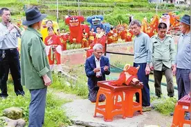 客家摇篮拍客家｜客家开耕节 犁春兆丰年图片