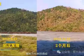 鄂州开展联合执法，防它！控它！消灭它！图片