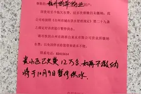 极目锐评∣小区因物业拖欠12万元水费面临停水，物业收费不能是笔糊涂账图片