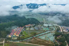 福建三明沙县：小吃闯出大名堂，联动发展谋振兴图片